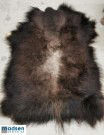 Moskusskinn fra Dovrefjell thumbnail